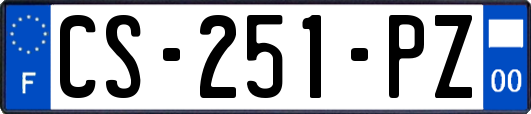 CS-251-PZ