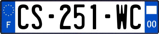 CS-251-WC