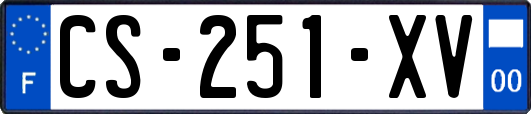 CS-251-XV