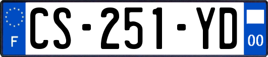 CS-251-YD