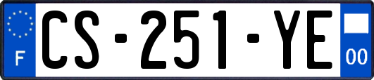 CS-251-YE