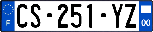 CS-251-YZ