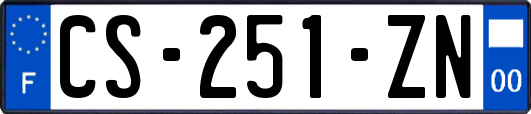 CS-251-ZN