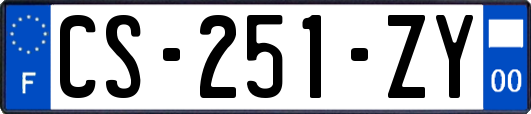 CS-251-ZY