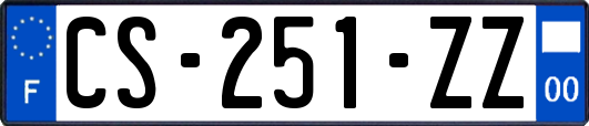 CS-251-ZZ