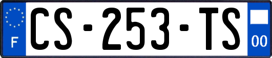 CS-253-TS