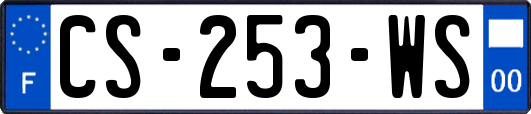 CS-253-WS