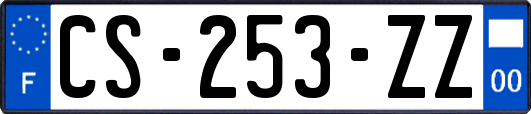 CS-253-ZZ