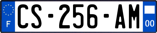 CS-256-AM