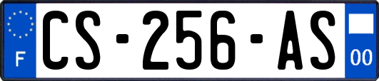 CS-256-AS