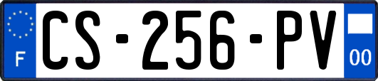 CS-256-PV