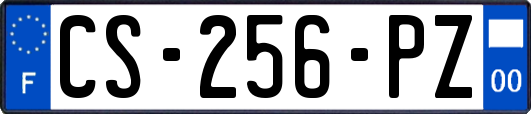 CS-256-PZ