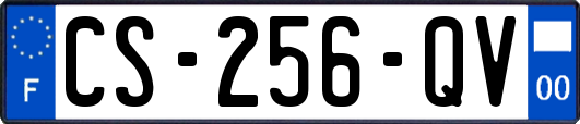 CS-256-QV