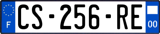 CS-256-RE