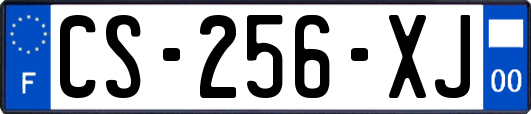 CS-256-XJ