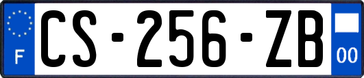 CS-256-ZB