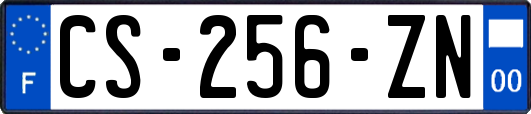 CS-256-ZN