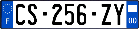 CS-256-ZY