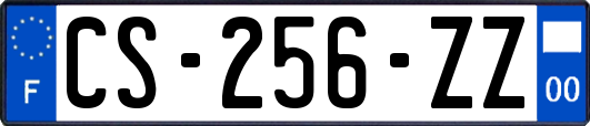 CS-256-ZZ