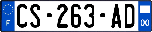 CS-263-AD