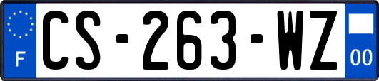 CS-263-WZ