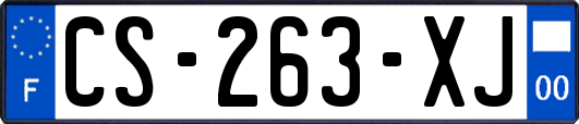 CS-263-XJ