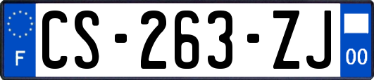 CS-263-ZJ