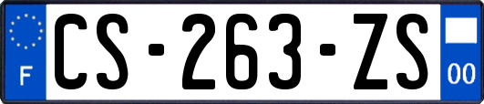 CS-263-ZS