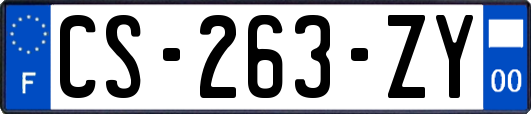 CS-263-ZY