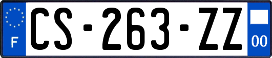 CS-263-ZZ