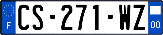 CS-271-WZ