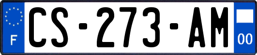 CS-273-AM