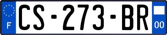 CS-273-BR