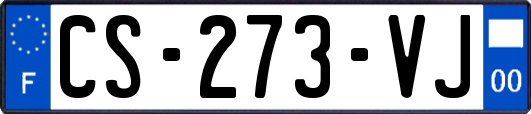 CS-273-VJ