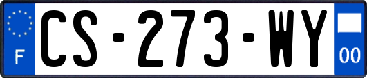 CS-273-WY