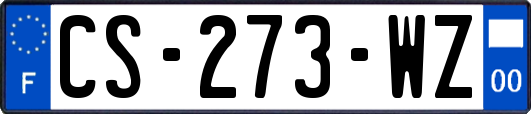 CS-273-WZ