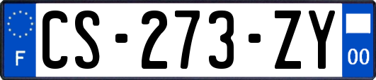 CS-273-ZY