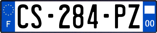 CS-284-PZ