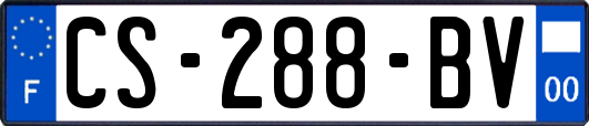 CS-288-BV