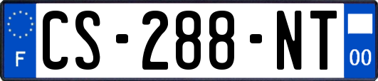 CS-288-NT