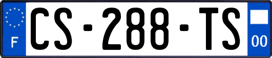 CS-288-TS