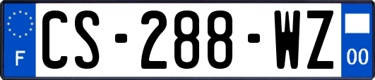 CS-288-WZ