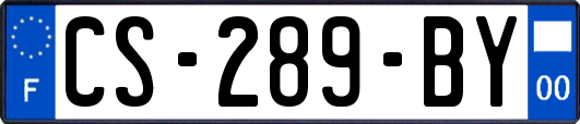 CS-289-BY