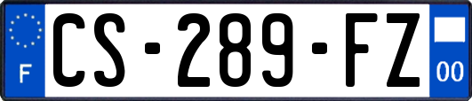 CS-289-FZ