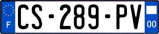 CS-289-PV