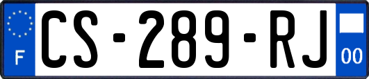 CS-289-RJ