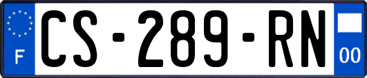 CS-289-RN