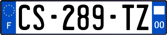 CS-289-TZ