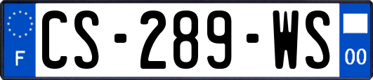 CS-289-WS