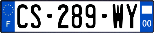 CS-289-WY